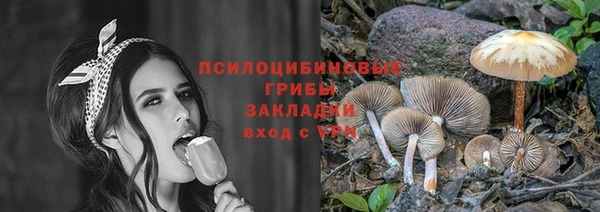 2c-b Волосово